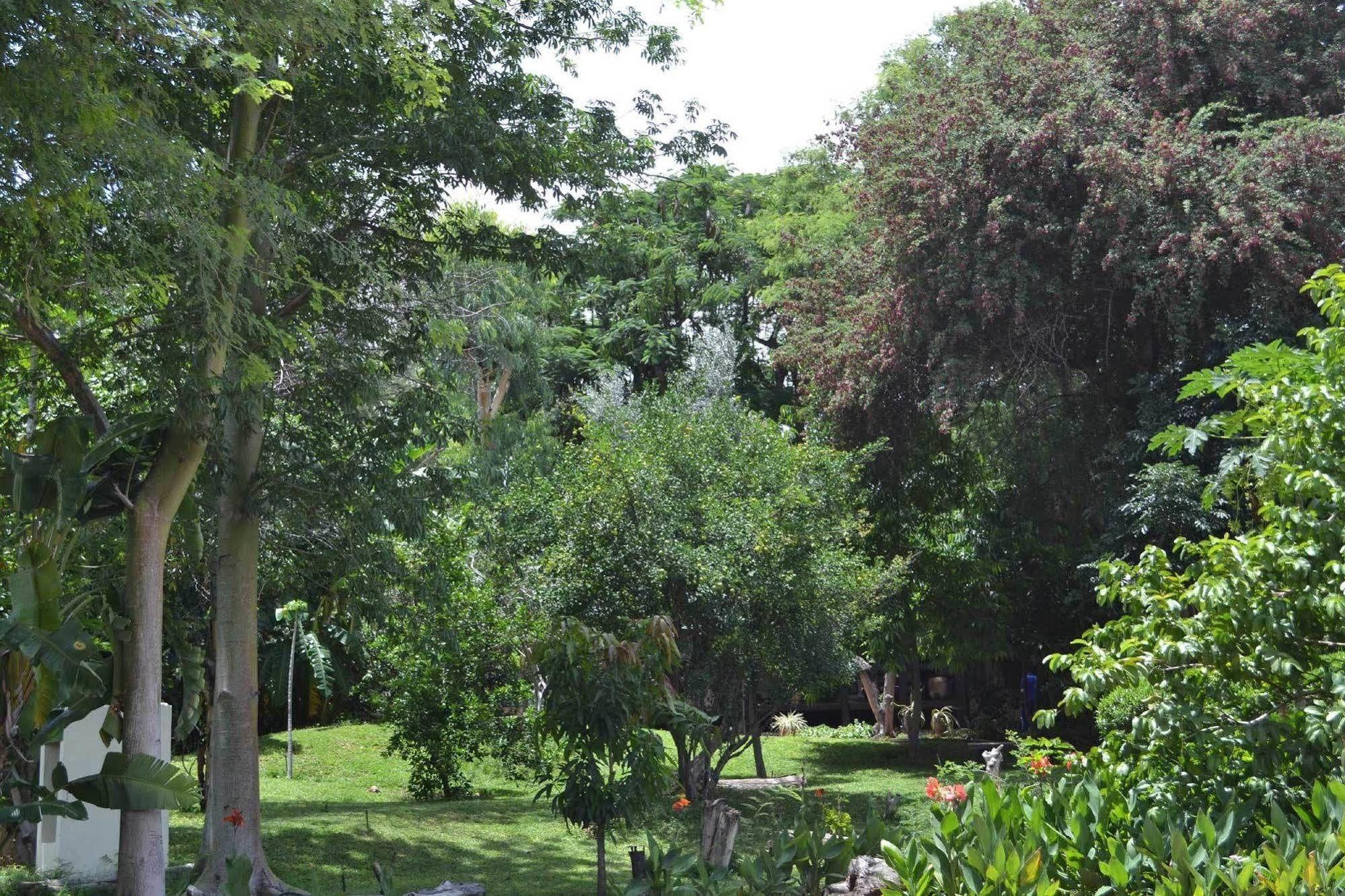 Tambuti Lodge Rundu Εξωτερικό φωτογραφία
